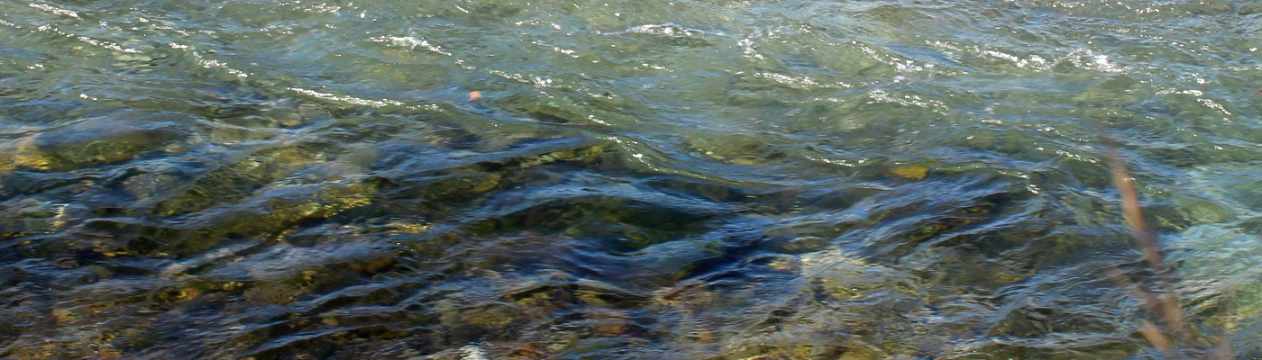 Regungsraum – Larissa Losinger – Bern – Schweiz