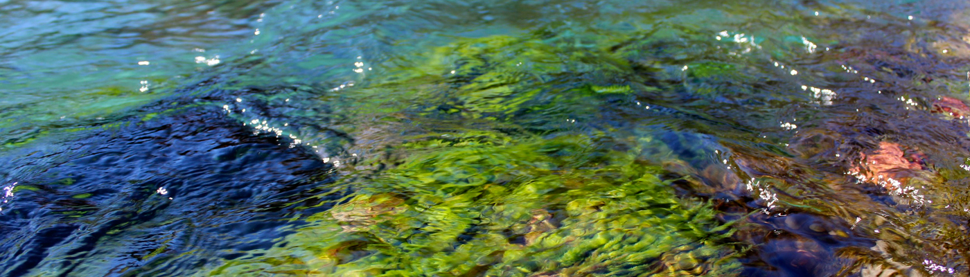 Regungsraum – Larissa Losinger – Bern – Schweiz